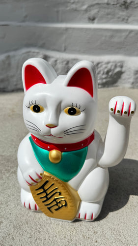 Lykke kat/ vinkekat