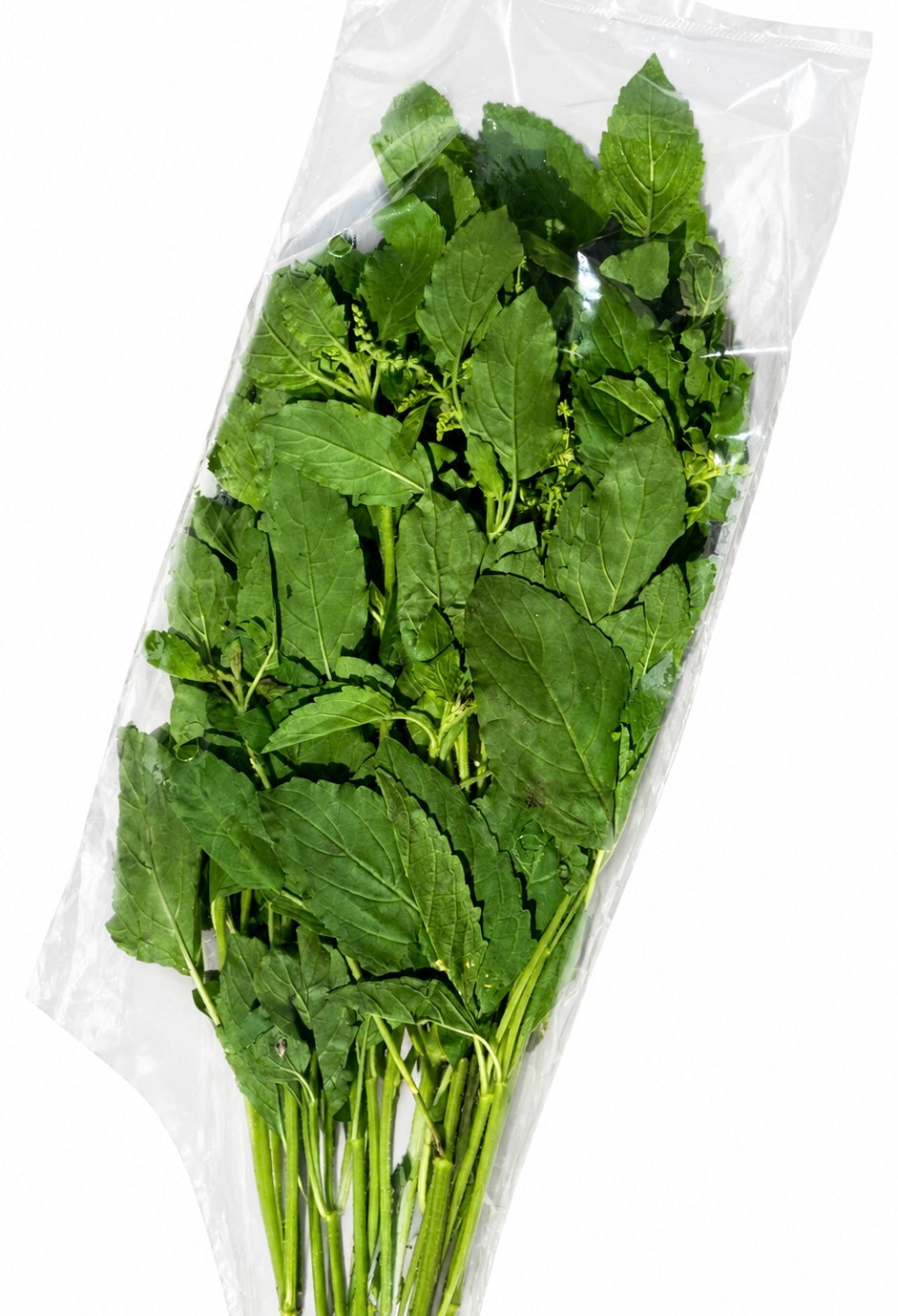 Hellig basilikum 80 g
